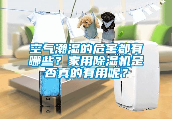 空氣潮濕的危害都有哪些？家用除濕機是否真的有用呢？