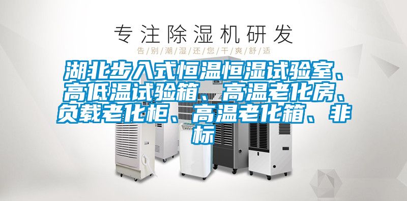 湖北步入式恒溫恒濕試驗室、高低溫試驗箱、高溫老化房、負載老化柜、高溫老化箱、非標