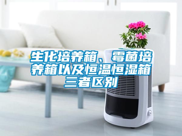 生化培養(yǎng)箱、霉菌培養(yǎng)箱以及恒溫恒濕箱三者區(qū)別