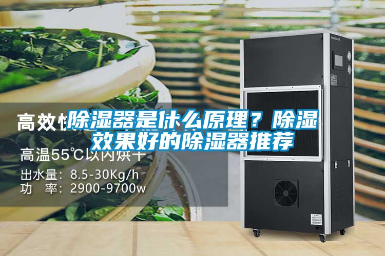 除濕器是什么原理？除濕效果好的除濕器推薦