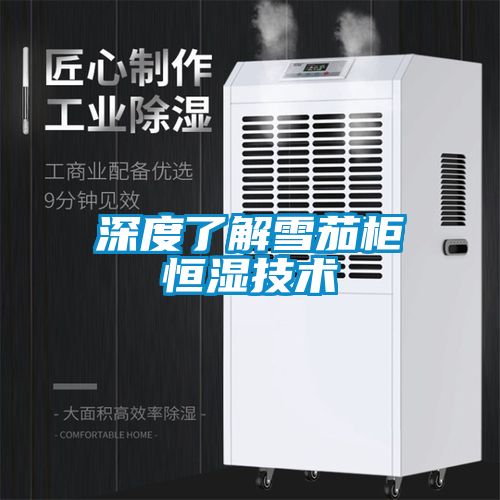 深度了解雪茄柜恒濕技術(shù)