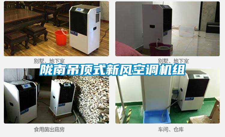 隴南吊頂式新風(fēng)空調機組