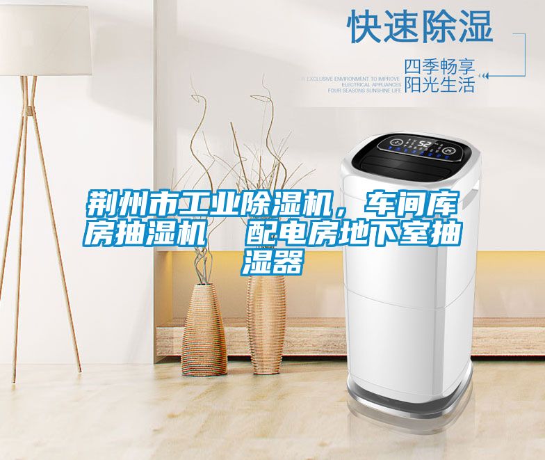 荊州市工業(yè)除濕機，車(chē)間庫房抽濕機  配電房地下室抽濕器