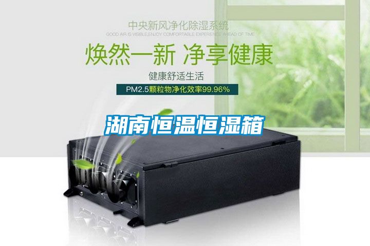 湖南恒溫恒濕箱