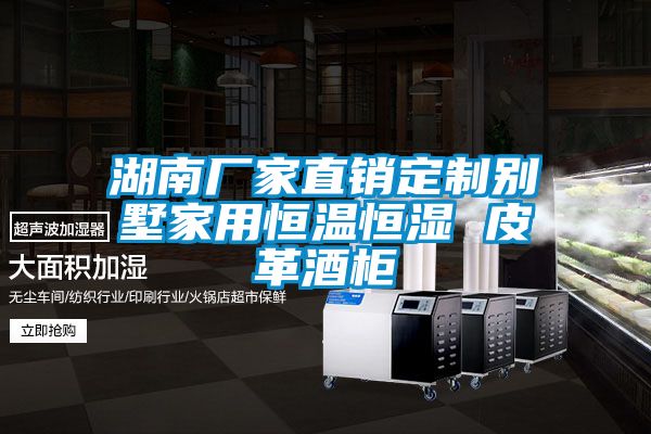 湖南廠(chǎng)家直銷(xiāo)定制別墅家用恒溫恒濕 皮革酒柜