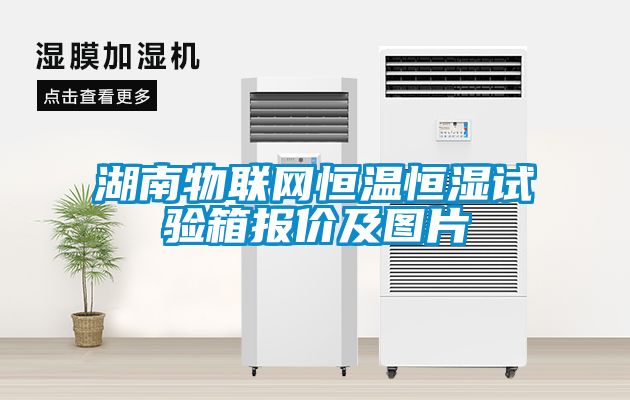 湖南物聯(lián)網(wǎng)恒溫恒濕試驗箱報價(jià)及圖片