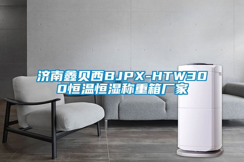 濟南鑫貝西BJPX-HTW300恒溫恒濕稱(chēng)重箱廠(chǎng)家