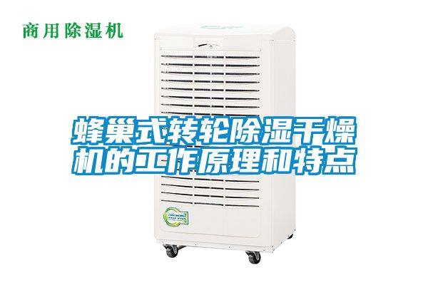 蜂巢式轉(zhuǎn)輪除濕干燥機(jī)的工作原理和特點