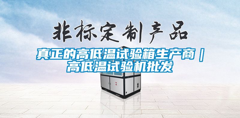 真正的高低溫試驗箱生產(chǎn)商｜高低溫試驗機批發(fā)