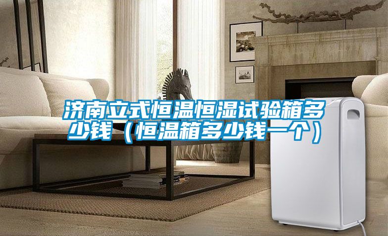 濟南立式恒溫恒濕試驗箱多少錢(qián)（恒溫箱多少錢(qián)一個(gè)）