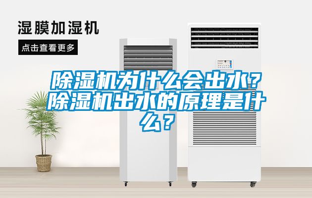 除濕機(jī)為什么會(huì)出水？除濕機(jī)出水的原理是什么？