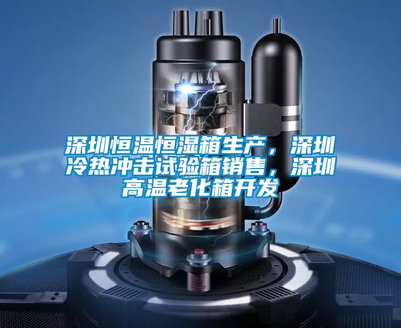 深圳恒溫恒濕箱生產(chǎn)，深圳冷熱沖擊試驗箱銷售，深圳高溫老化箱開發(fā)