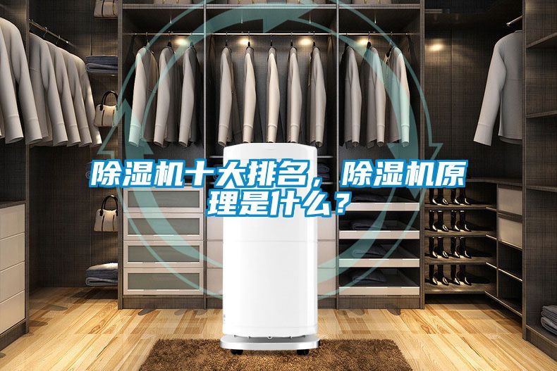 除濕機十大排名，除濕機原理是什么？