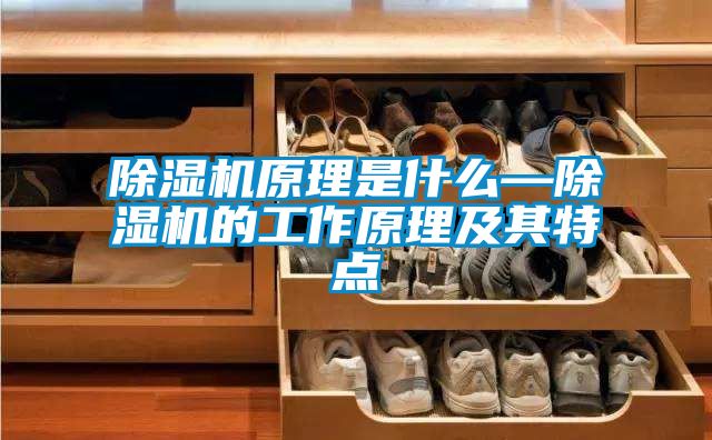 除濕機原理是什么—除濕機的工作原理及其特點(diǎn)