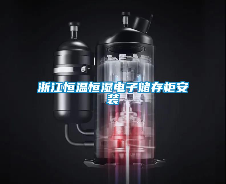 浙江恒溫恒濕電子儲(chǔ)存柜安裝