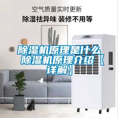 除濕機(jī)原理是什么 除濕機(jī)原理介紹【詳解】