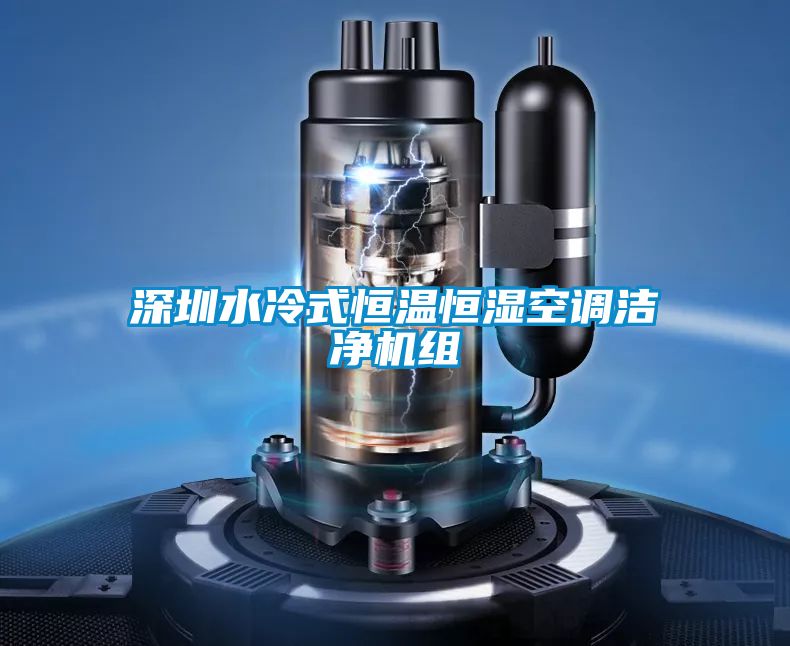 深圳水冷式恒溫恒濕空調(diào)潔凈機(jī)組