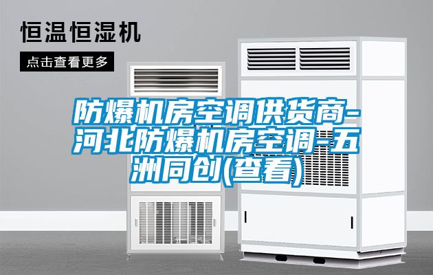 防爆機房空調(diào)供貨商-河北防爆機房空調(diào)-五洲同創(chuàng)(查看)