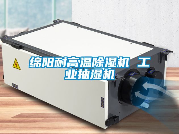 綿陽耐高溫除濕機(jī) 工業(yè)抽濕機(jī)