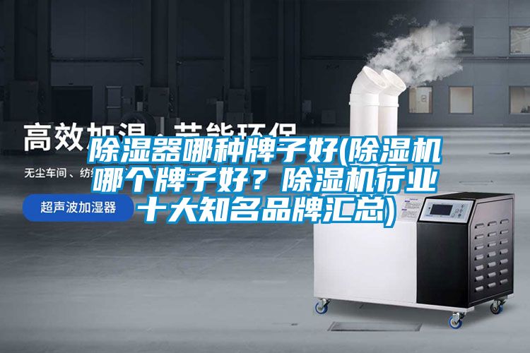 除濕器哪種牌子好(除濕機哪個(gè)牌子好？除濕機行業(yè)十大知名品牌匯總)