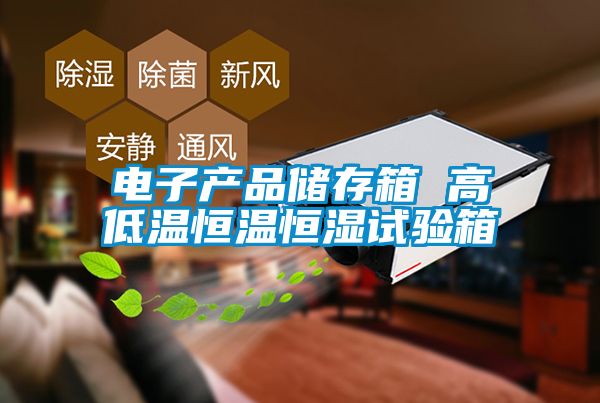 電子產(chǎn)品儲存箱 高低溫恒溫恒濕試驗箱