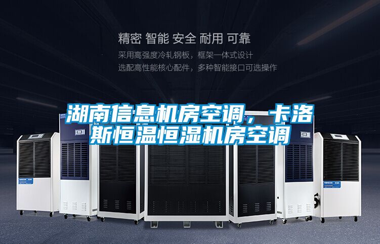 湖南信息機房空調(diào)，卡洛斯恒溫恒濕機房空調(diào)