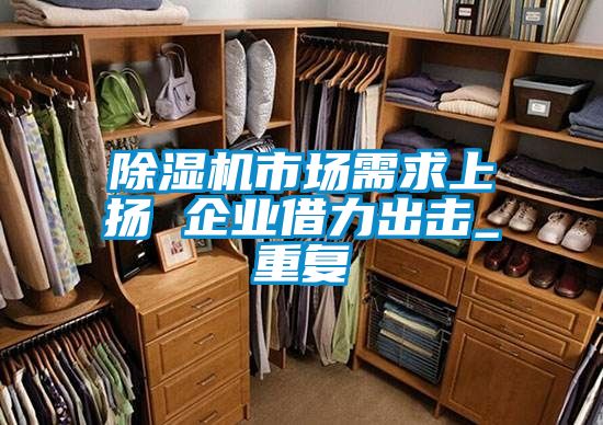 除濕機市場需求上揚 企業(yè)借力出擊_重復