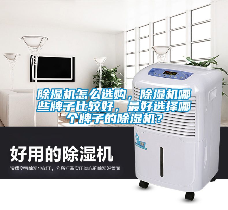 除濕機怎么選購，除濕機哪些牌子比較好，最好選擇哪個牌子的除濕機？