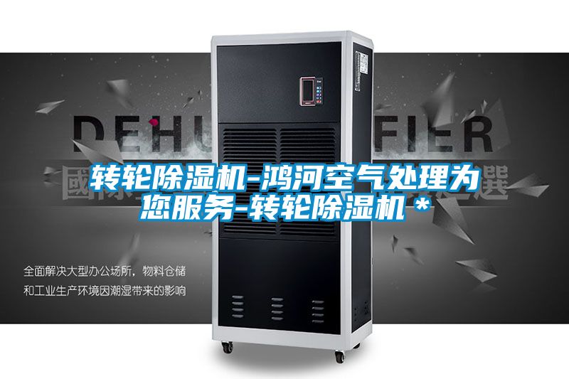 轉(zhuǎn)輪除濕機-鴻河空氣處理為您服務-轉(zhuǎn)輪除濕機＊