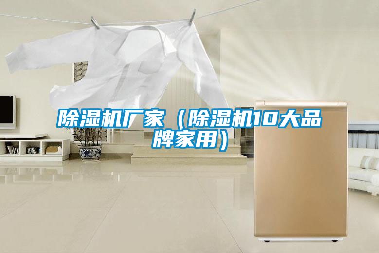 除濕機廠(chǎng)家（除濕機10大品牌家用）