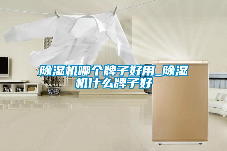 除濕機哪個(gè)牌子好用_除濕機什么牌子好