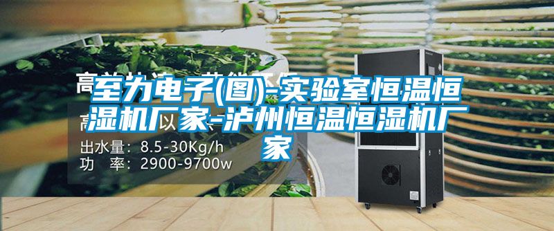 至力電子(圖)-實驗室恒溫恒濕機廠家-瀘州恒溫恒濕機廠家