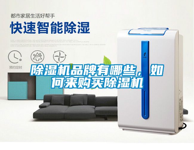 除濕機品牌有哪些，如何來(lái)購買(mǎi)除濕機