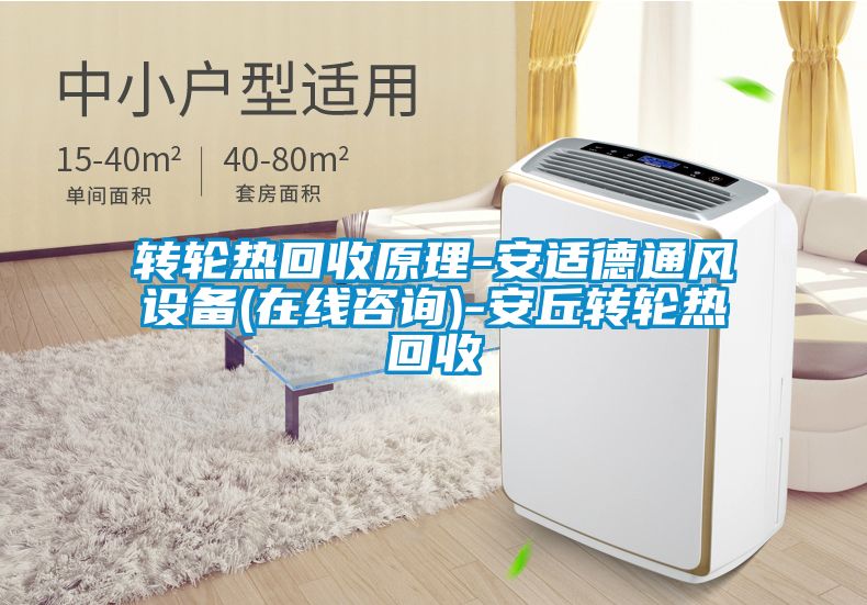 轉輪熱回收原理-安適德通風(fēng)設備(在線(xiàn)咨詢(xún))-安丘轉輪熱回收