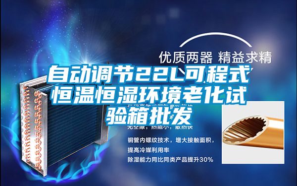 自動(dòng)調節22L可程式恒溫恒濕環(huán)境老化試驗箱批發(fā)