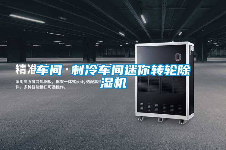 車間 制冷車間迷你轉(zhuǎn)輪除濕機(jī)
