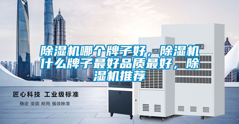 除濕機(jī)哪個(gè)牌子好，除濕機(jī)什么牌子最好品質(zhì)最好，除濕機(jī)推薦