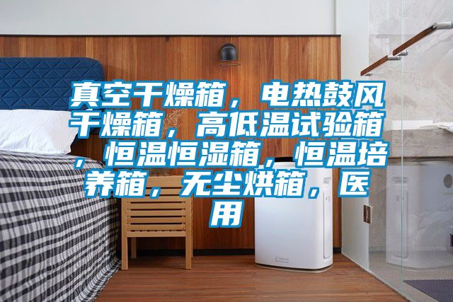 真空干燥箱，電熱鼓風(fēng)干燥箱，高低溫試驗箱，恒溫恒濕箱，恒溫培養箱，無(wú)塵烘箱，醫用