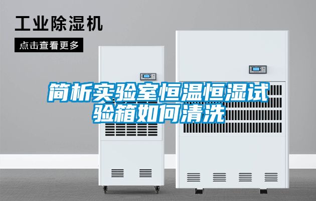 簡(jiǎn)析實(shí)驗室恒溫恒濕試驗箱如何清洗