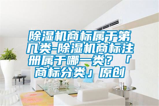 除濕機(jī)商標(biāo)屬于第幾類-除濕機(jī)商標(biāo)注冊(cè)屬于哪一類？「商標(biāo)分類」原創(chuàng)