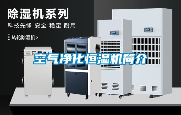 空氣凈化恒濕機簡(jiǎn)介