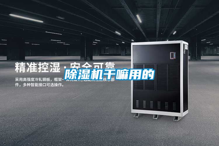 除濕機(jī)干嘛用的