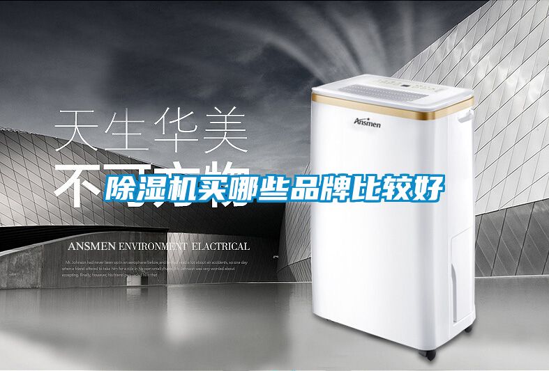 除濕機買(mǎi)哪些品牌比較好