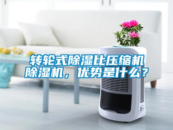 轉輪式除濕比壓縮機除濕機，優(yōu)勢是什么？