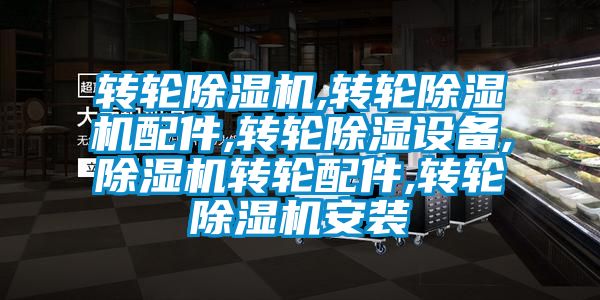 轉(zhuǎn)輪除濕機(jī),轉(zhuǎn)輪除濕機(jī)配件,轉(zhuǎn)輪除濕設(shè)備,除濕機(jī)轉(zhuǎn)輪配件,轉(zhuǎn)輪除濕機(jī)安裝