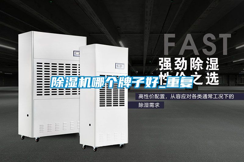 除濕機哪個(gè)牌子好_重復