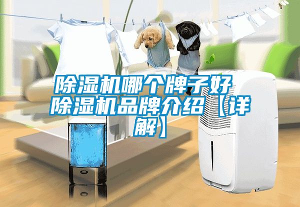 除濕機(jī)哪個牌子好 除濕機(jī)品牌介紹【詳解】