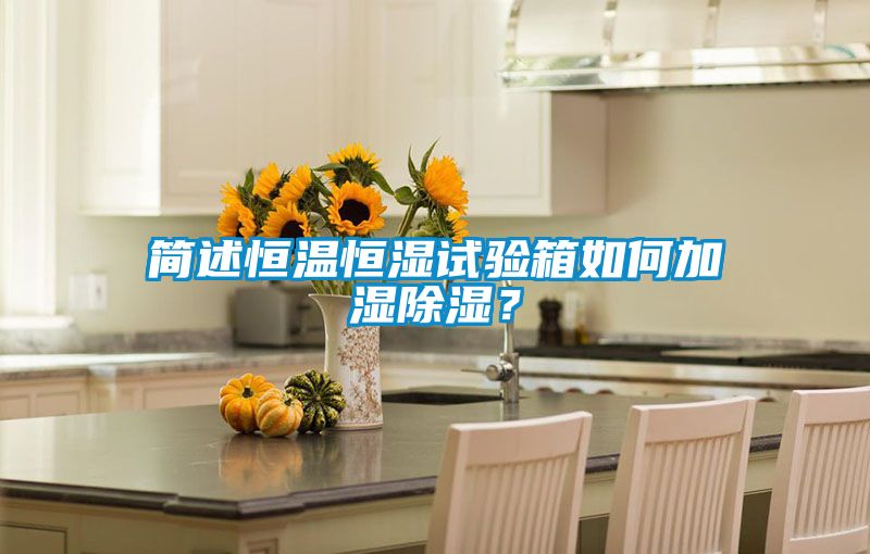 簡(jiǎn)述恒溫恒濕試驗箱如何加濕除濕？