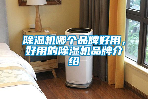 除濕機哪個(gè)品牌好用，好用的除濕機品牌介紹