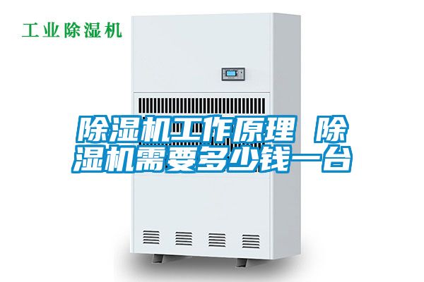 除濕機(jī)工作原理 除濕機(jī)需要多少錢一臺(tái)